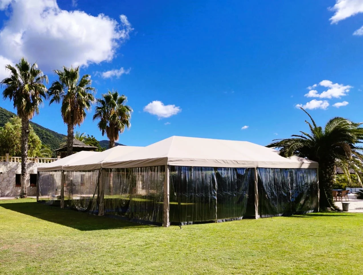 Carpas Modulares Premium entre palmeras
